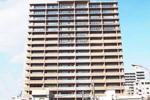 ウェリスライオンズ ザ・セントラル